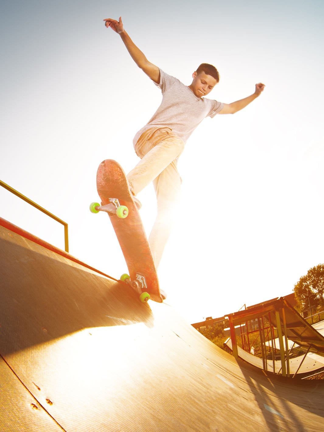 31" Nollie Spec Skateboard - Snake Pit